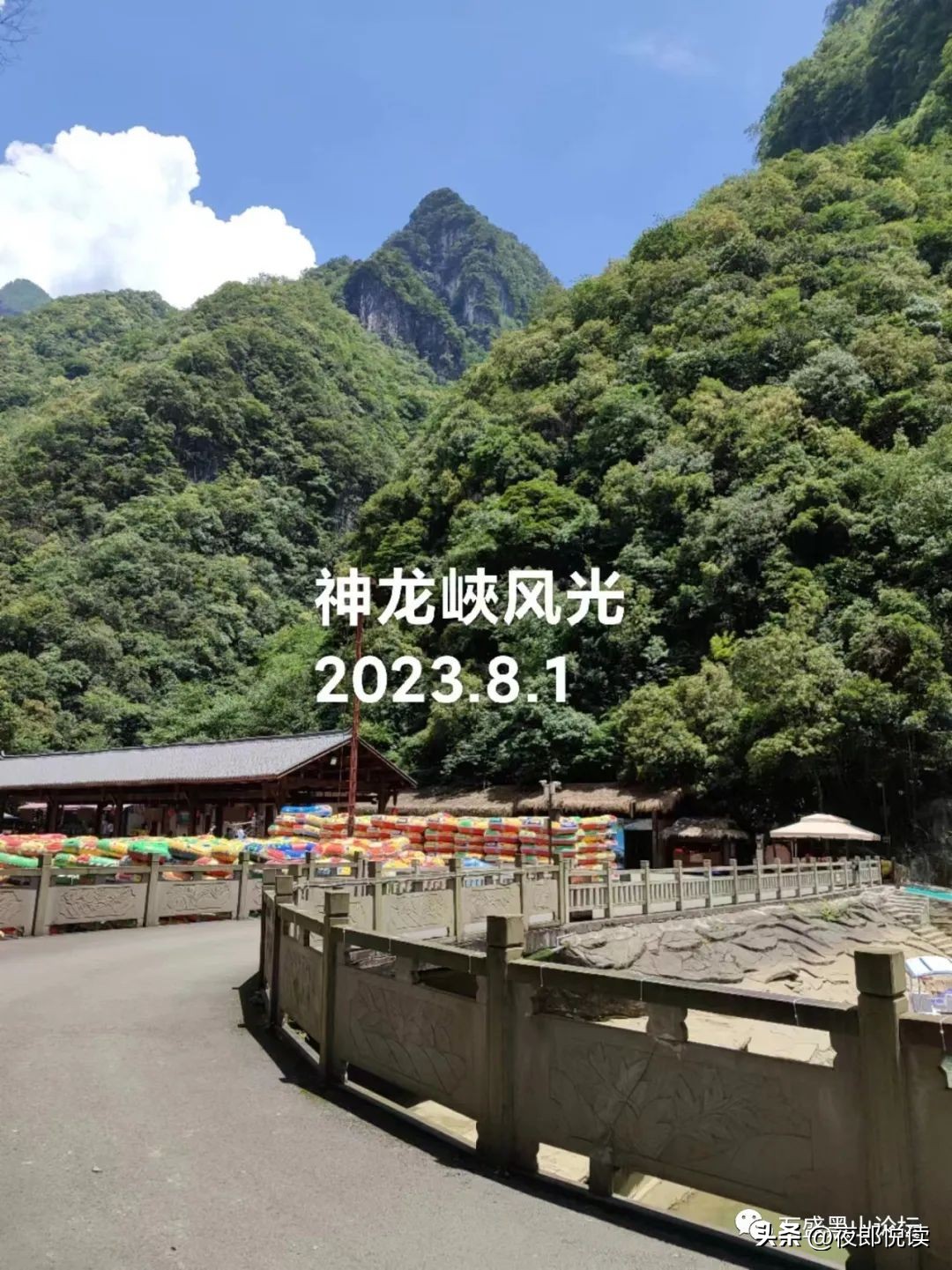 故地重游的句子,故地重游的经典句子