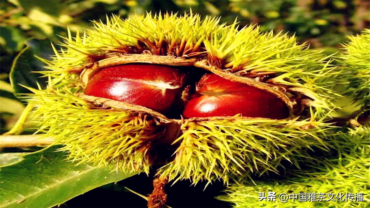 有一种幸福叫友情,幸福和谐的一家人