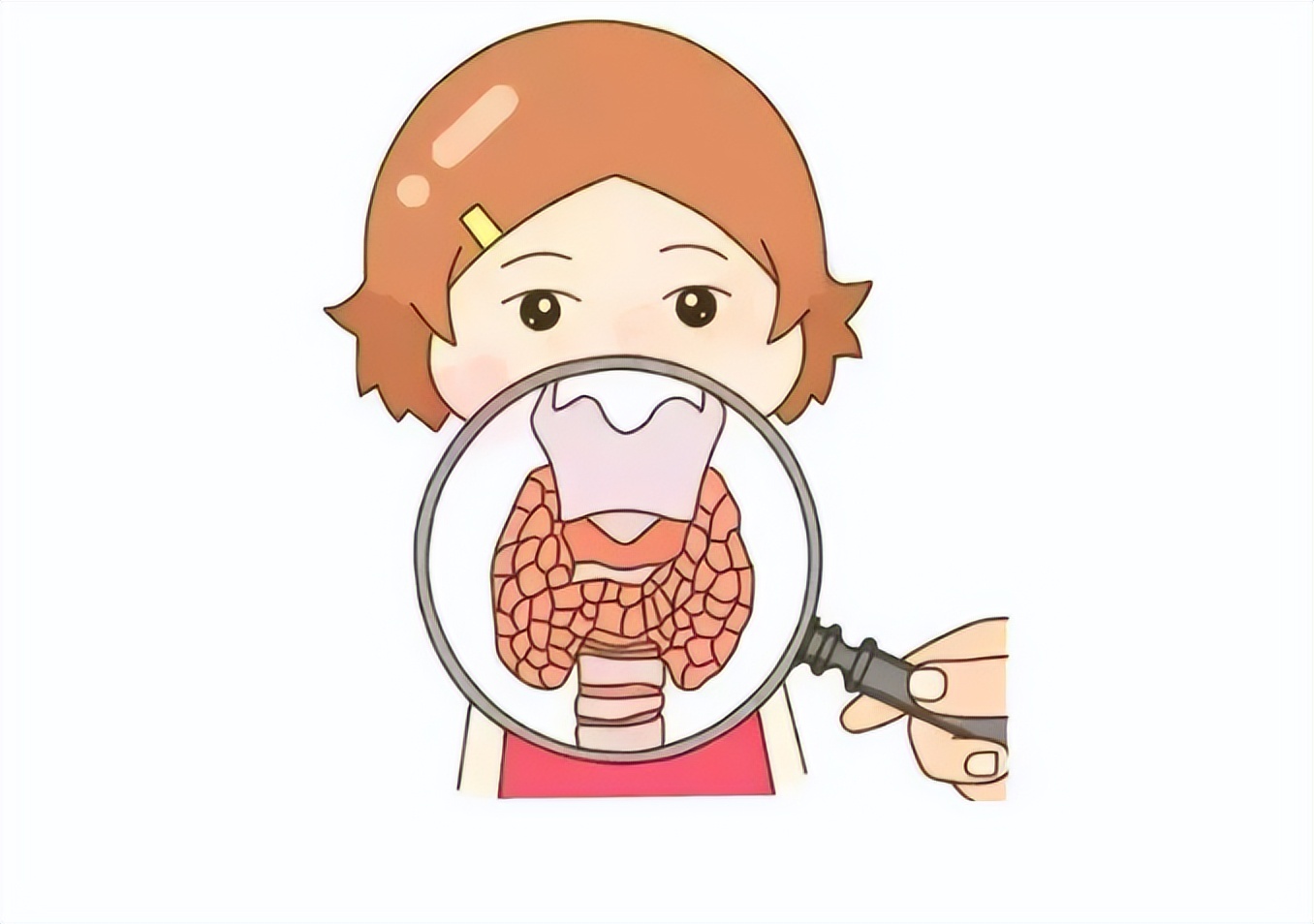 怕冷怕热小心甲状腺疾病在作祟,甲状腺跟感冒咳嗽有关系吗