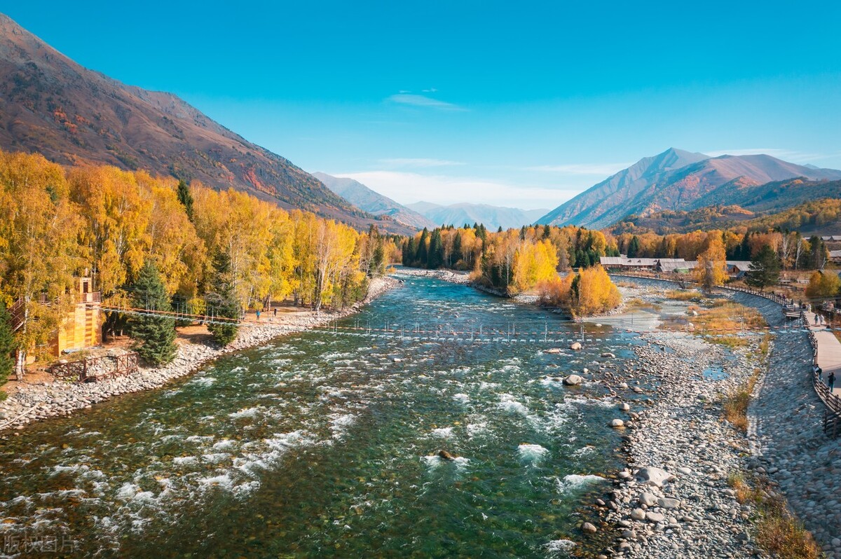 食品药品类犯罪罪名,食品药品犯罪案件法条
