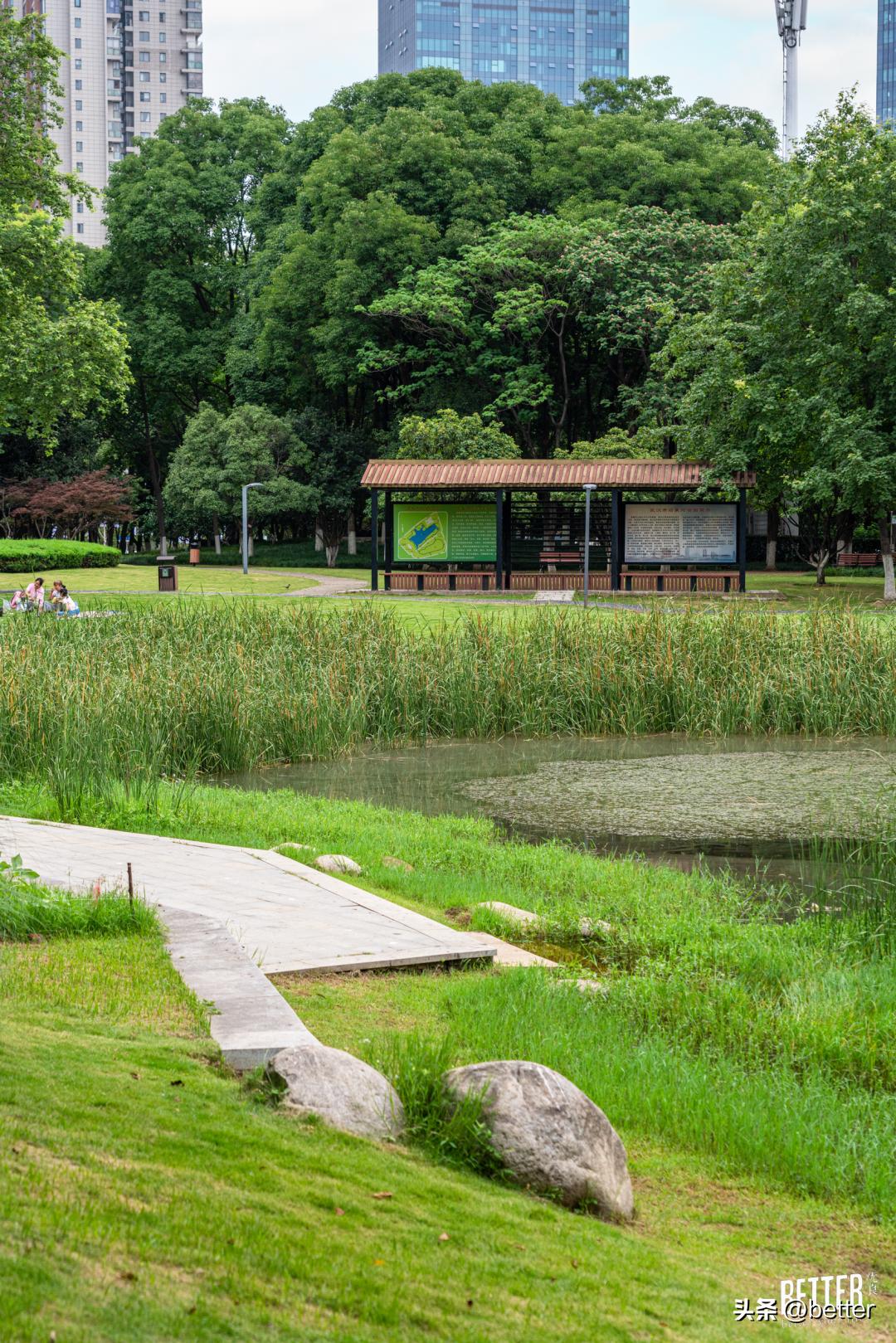 城中3处小众宝藏绿地，一起去散个步吗