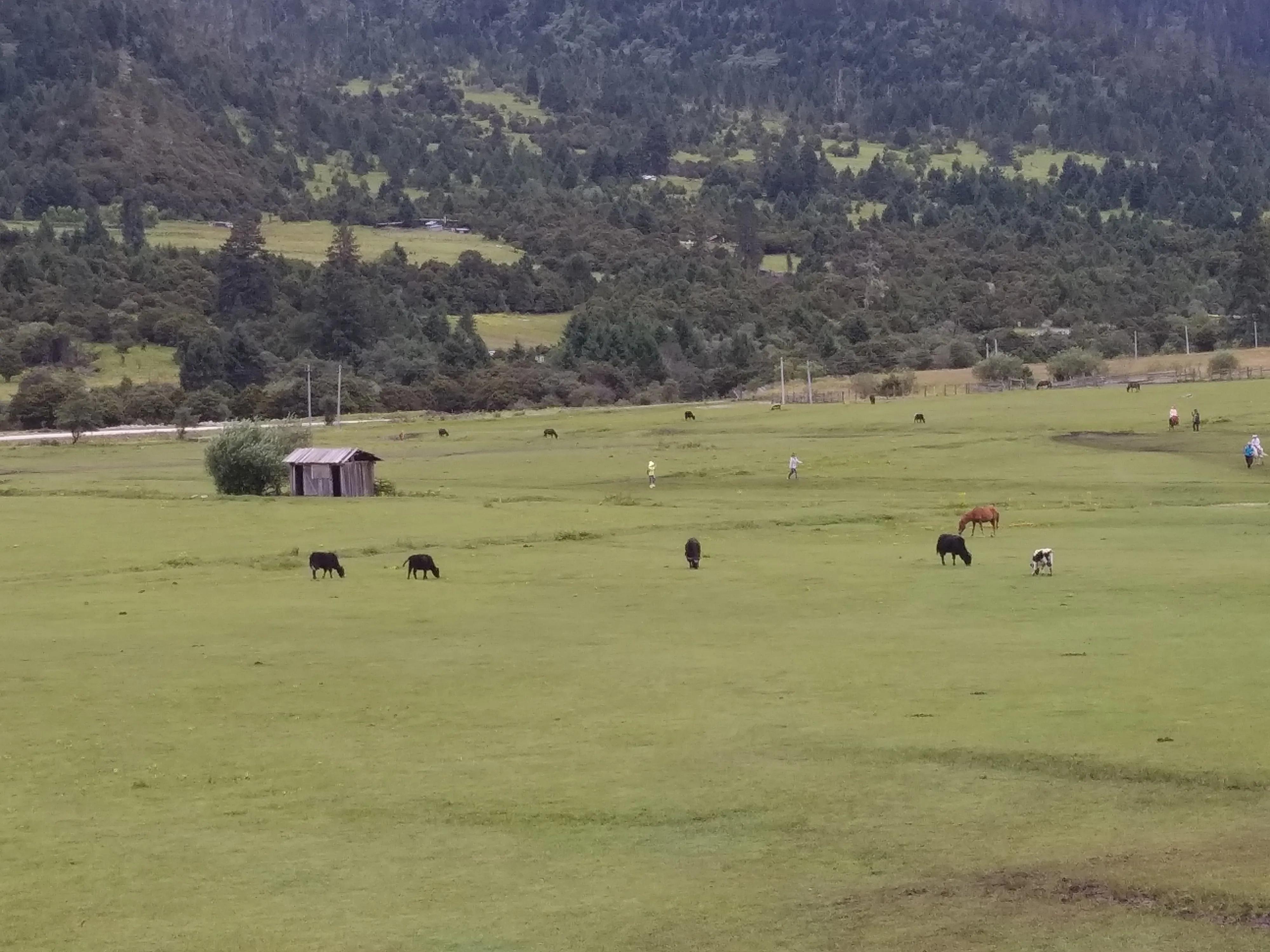 藏北旅游攻略大全,西二藏旅游攻略