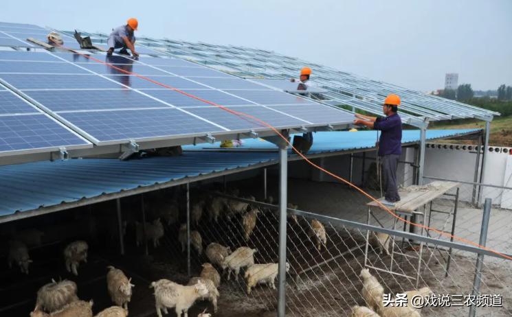 推荐3个小生意,3个小生意谁做谁赚钱