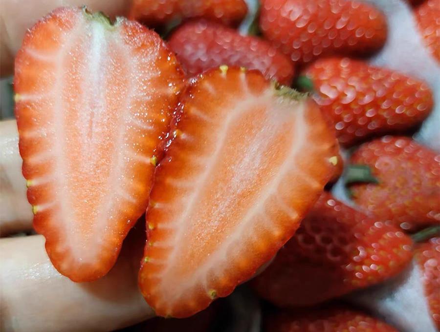 夏天两类应季水果寄生虫多,这些水果中的寄生虫一定不能忽略