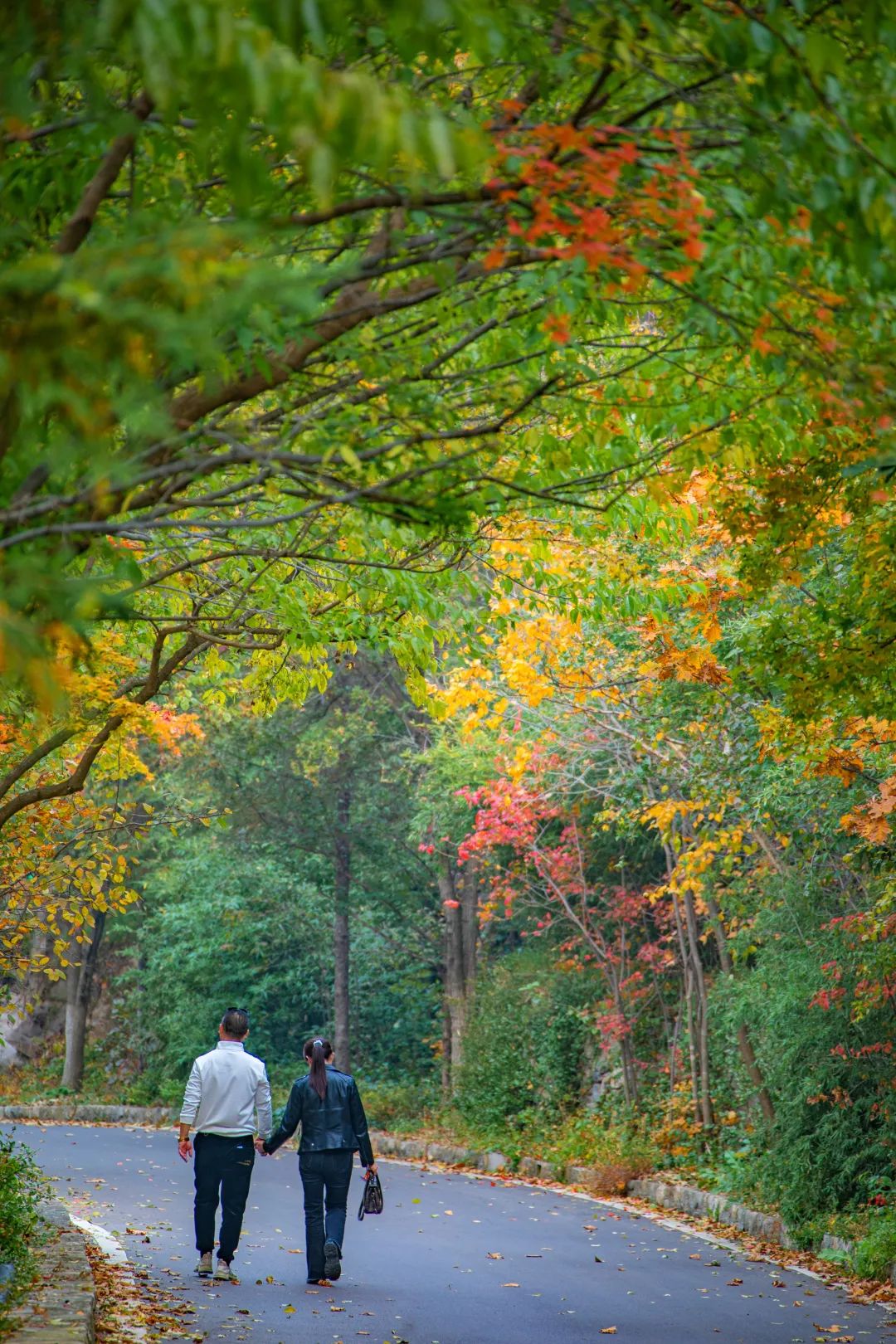 初秋的济南九如山风景秀丽美如画,济南九如山金秋十月