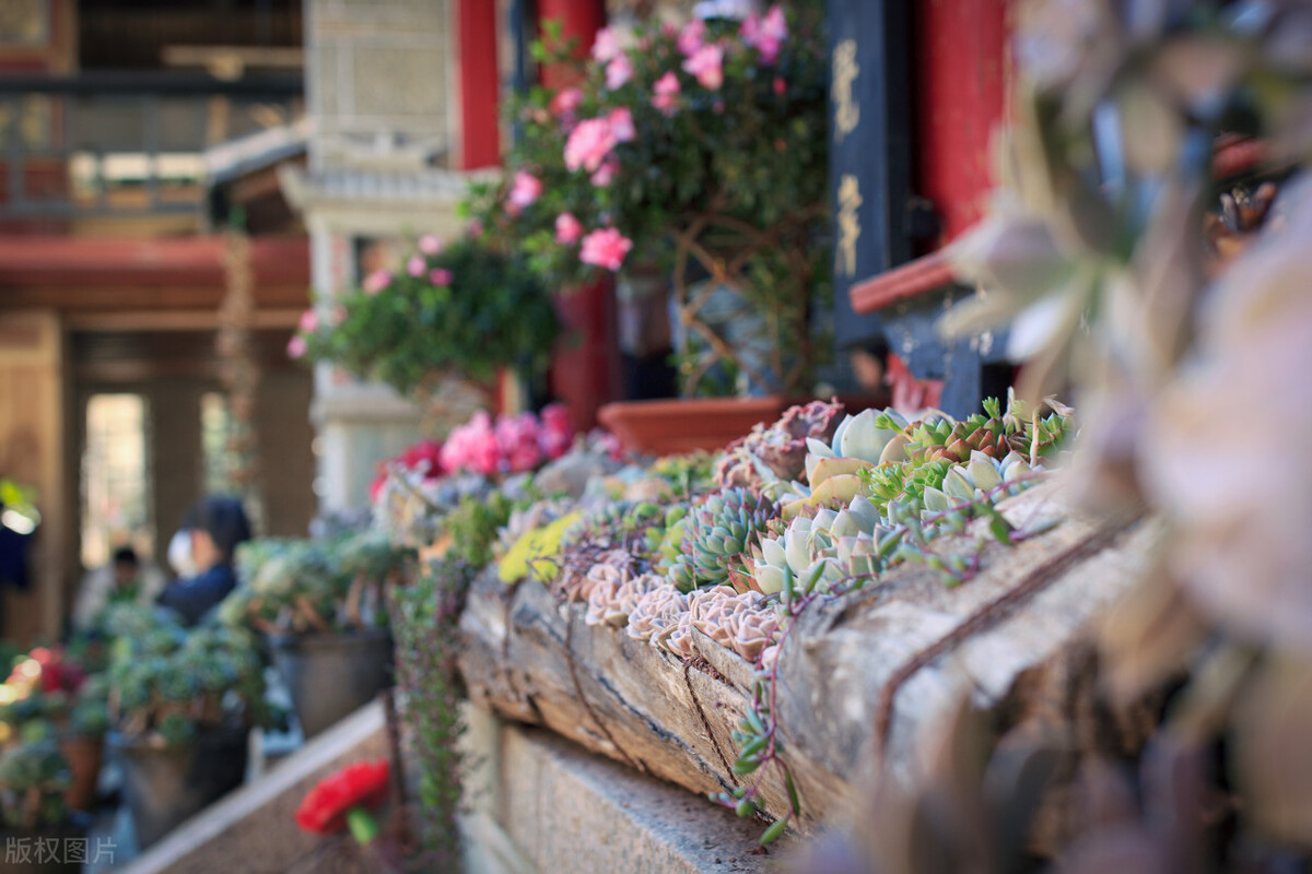 春节去云南哪里游玩有特色,春节除了云南还有哪里好耍