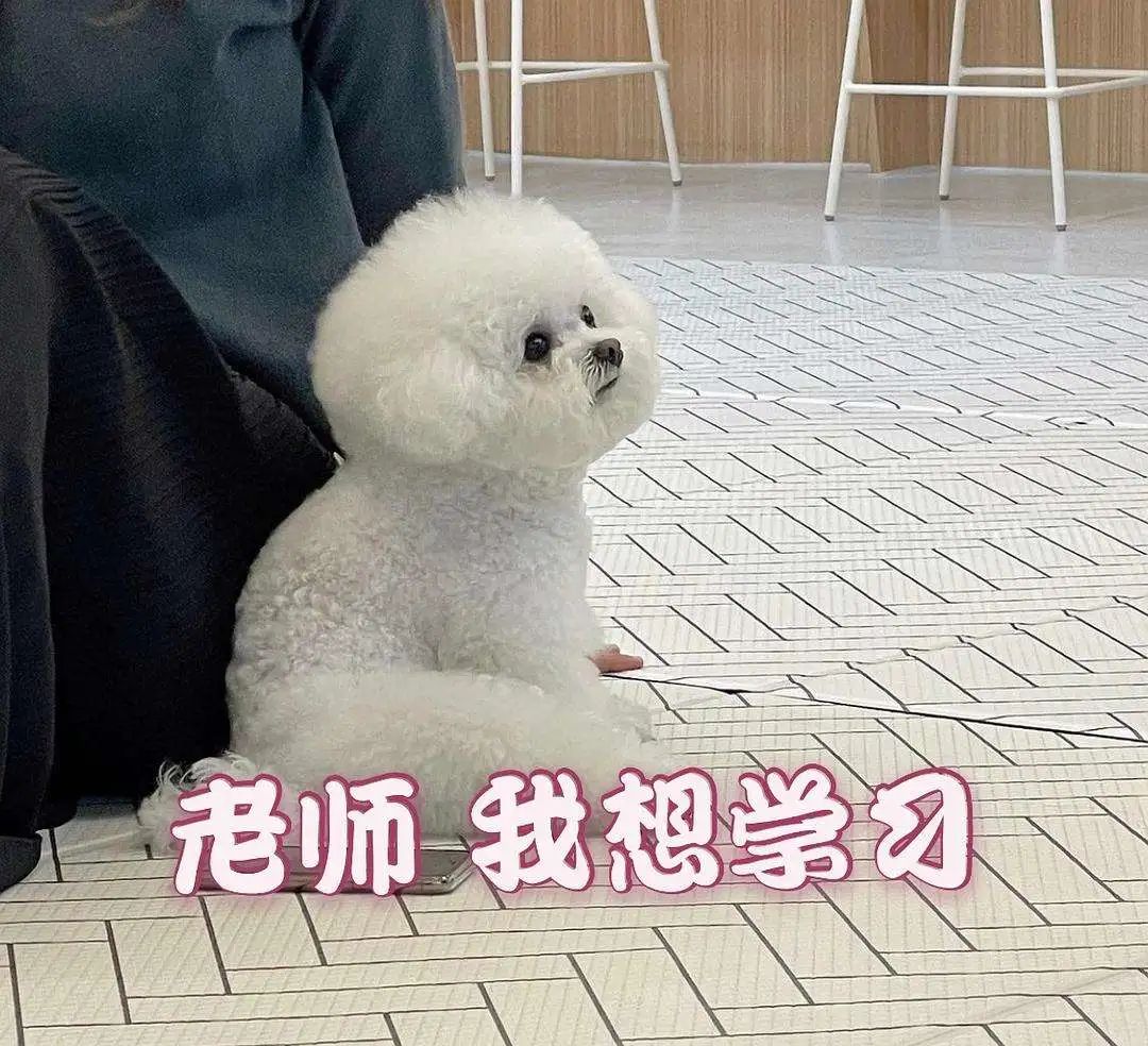 bec楂樼骇鑻辫璇曞嵎棰樺瀷,bec楂樼骇棰樺瀷