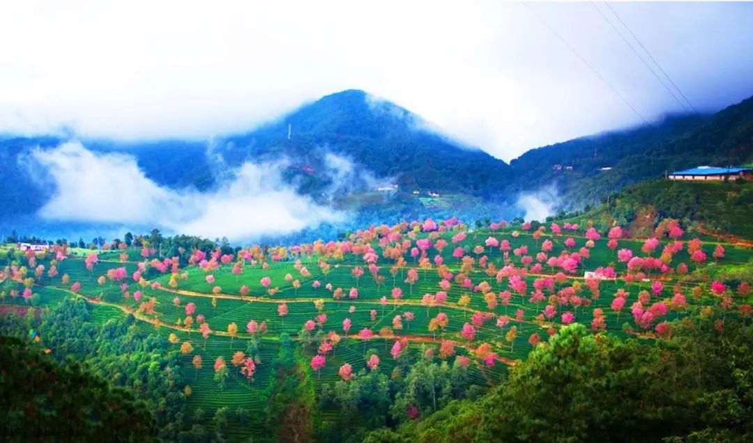 淡季大理堪称人间理想,大理的旺季真实体验