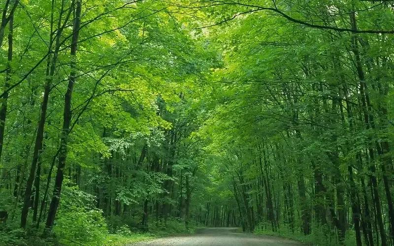 2022年壬寅年带有天干地支的日历,农历2022年十月初一壬寅虎年