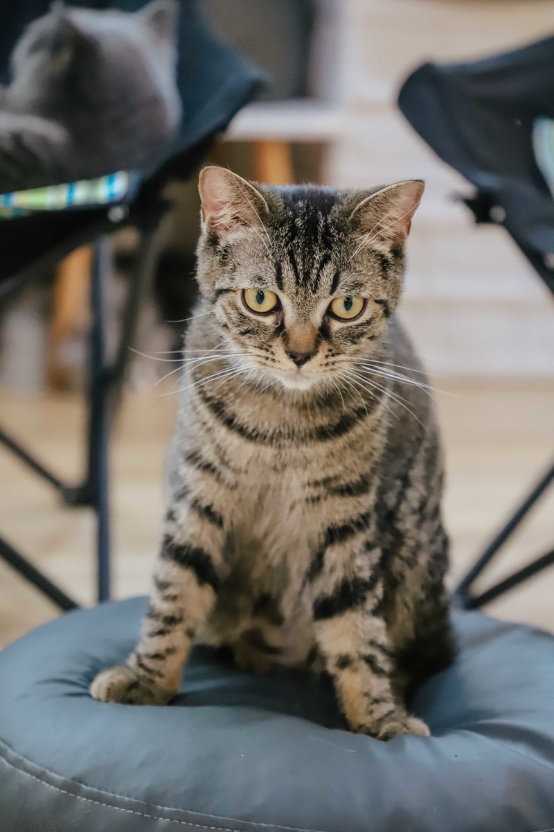 深圳必打卡咖啡馆,深圳罗湖小众咖啡馆