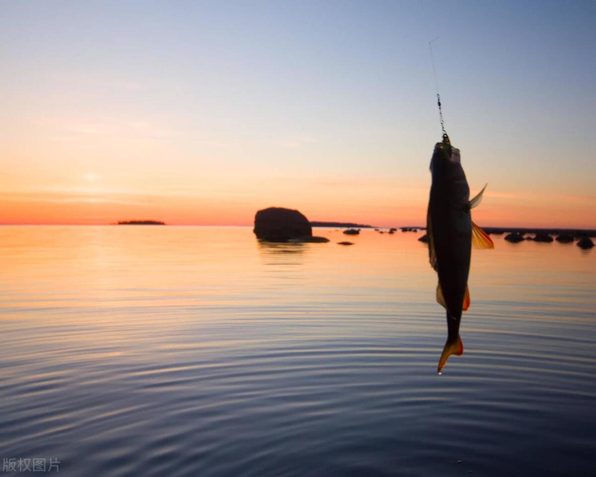 春季钓鱼不开口怎么办视频,春钓不开口怎么办