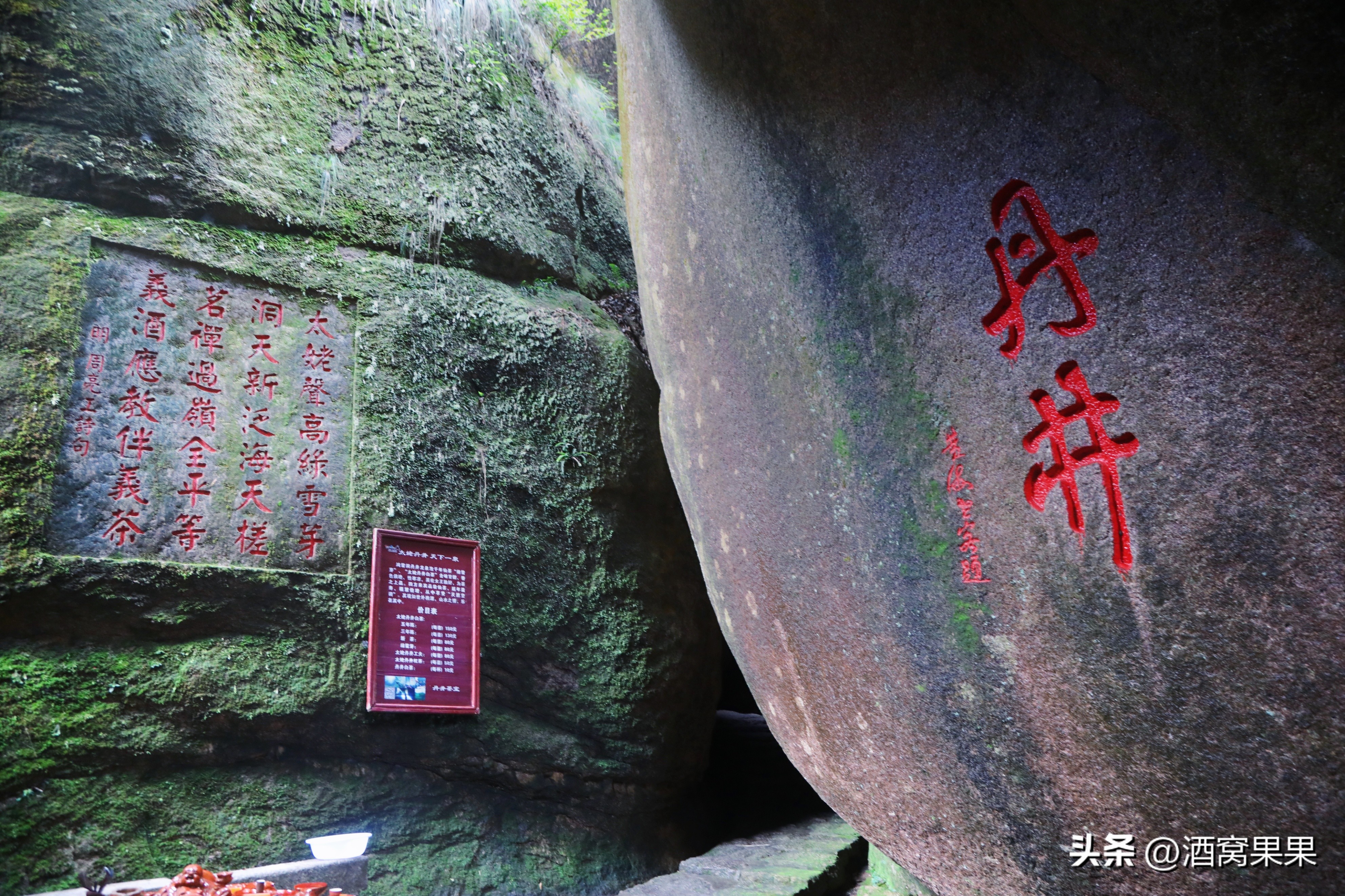 福鼎两天一夜旅游攻略,福鼎茶漫步茶园体验采茶之旅