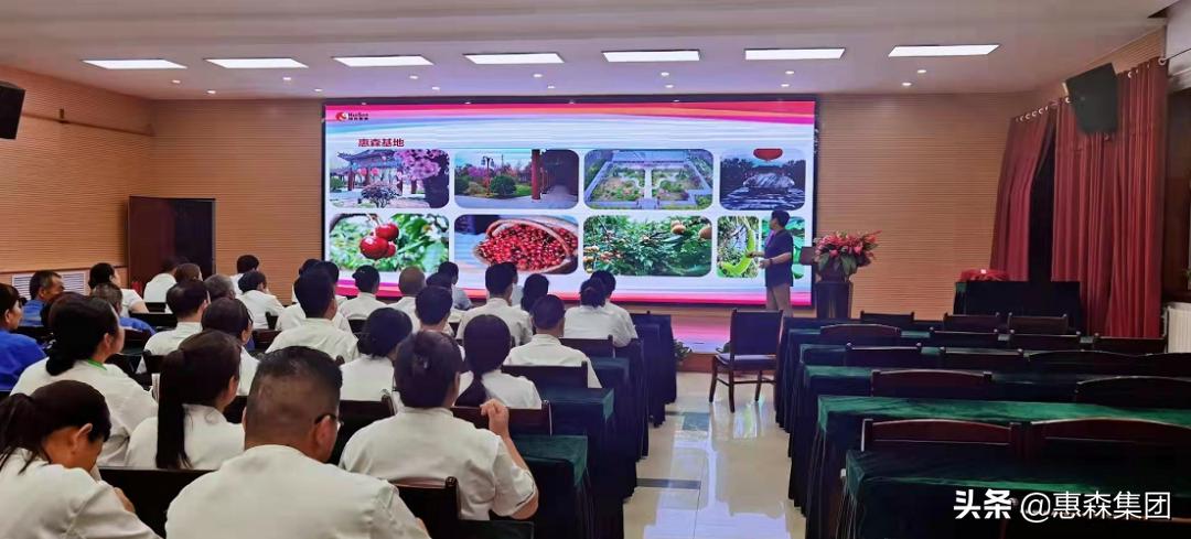 惠森集团招聘,陕西惠森实业集团怎么样