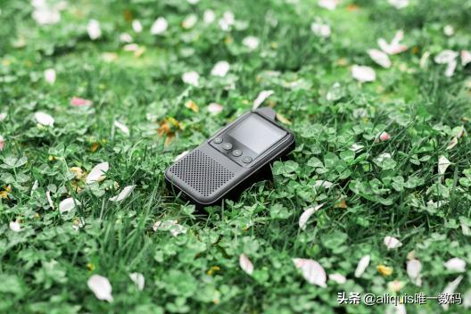 最实用公网对讲机,公网对讲机最好用的