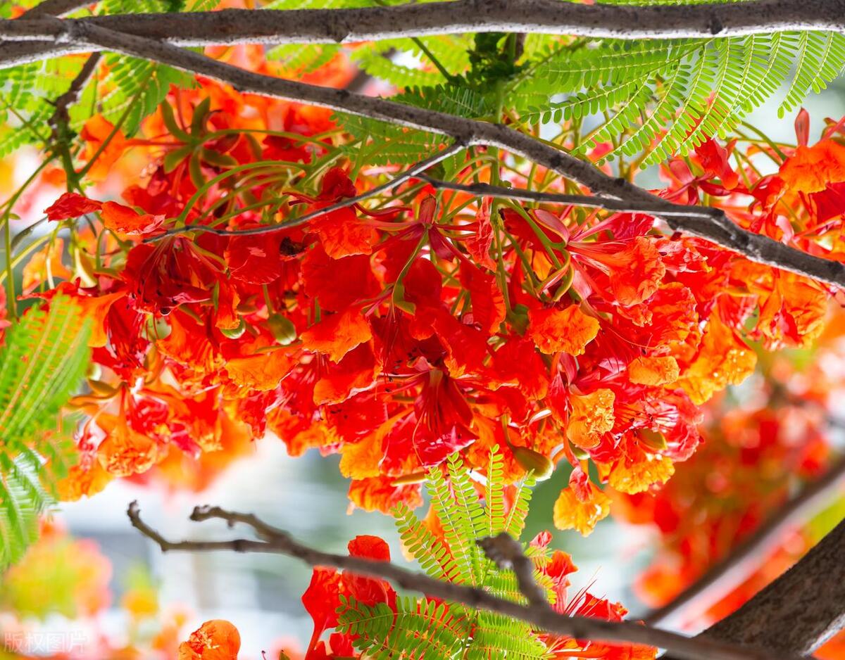 少年花季-少年暑假快乐事，青春如此美丽，少年快乐如此纯洁简单