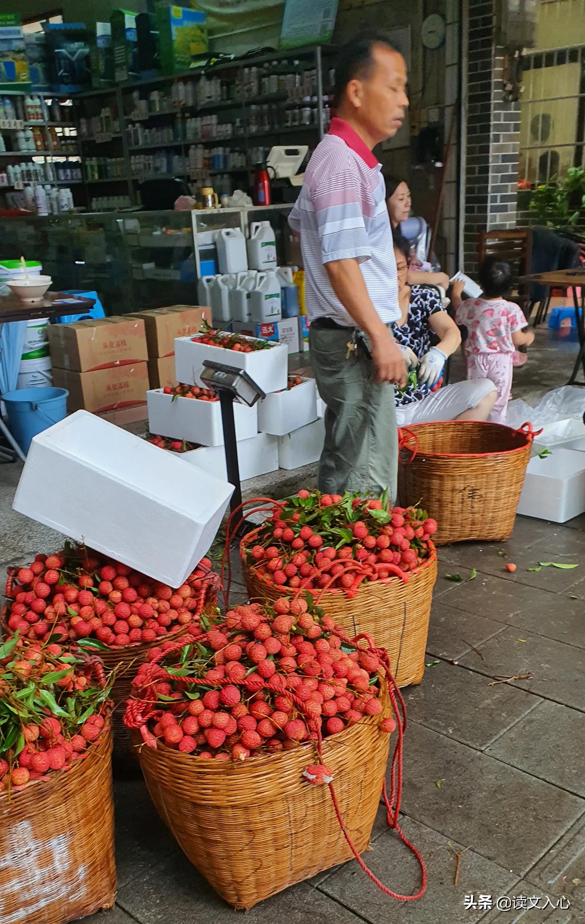 从化区南平静修小镇简介,南平静修小镇旅游文案