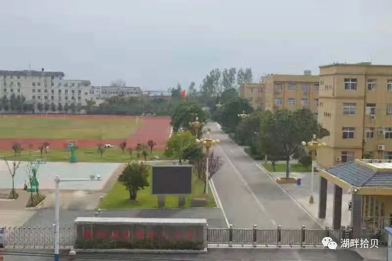 龙集小学怎么样,龙集镇小学