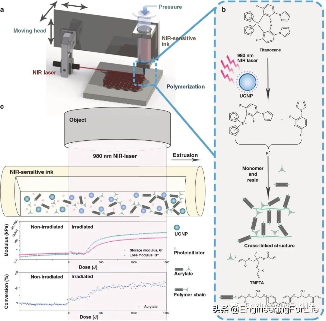 转换思维在生活中的运用,水凝胶纳米粒子