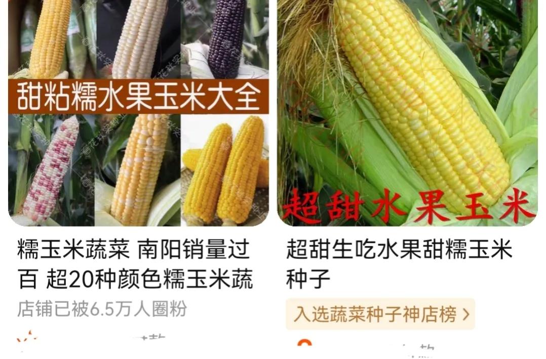 农民网购了劣质种子怎么办,为什么农民都选择购买种子