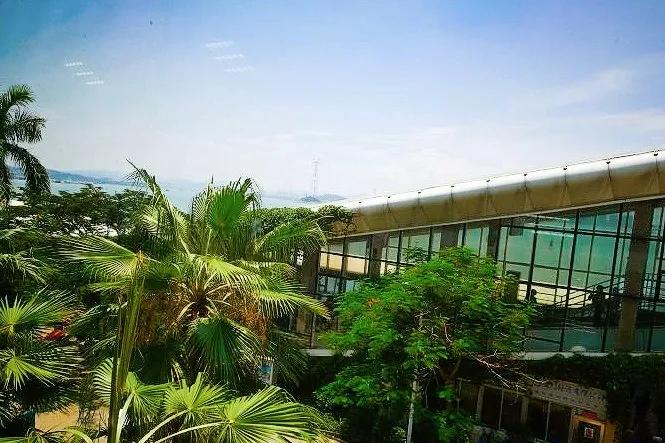 厦门鼓浪屿之行畅游鼓浪屿,去了厦门鼓浪屿的感受