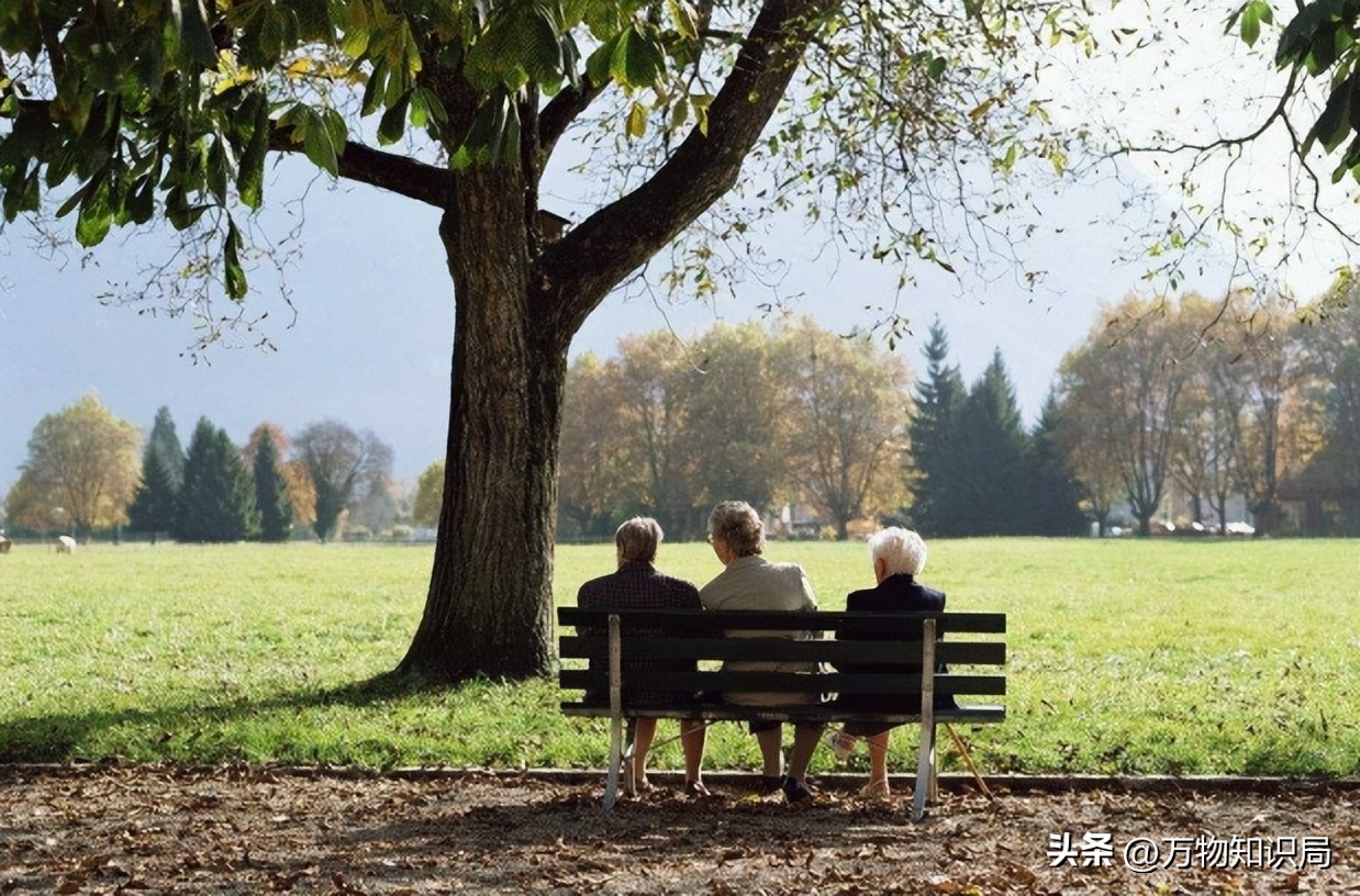 人口负增长的危机与机遇,人口负增长的好处和坏处