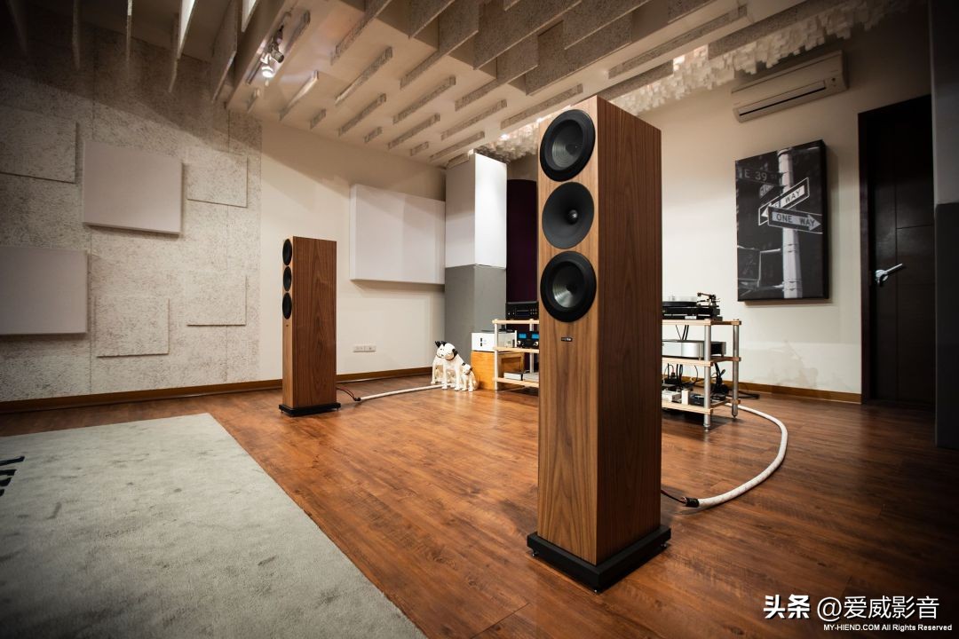 触动心灵最深处的情感:芬兰AmphionArgon7LS落地喇叭