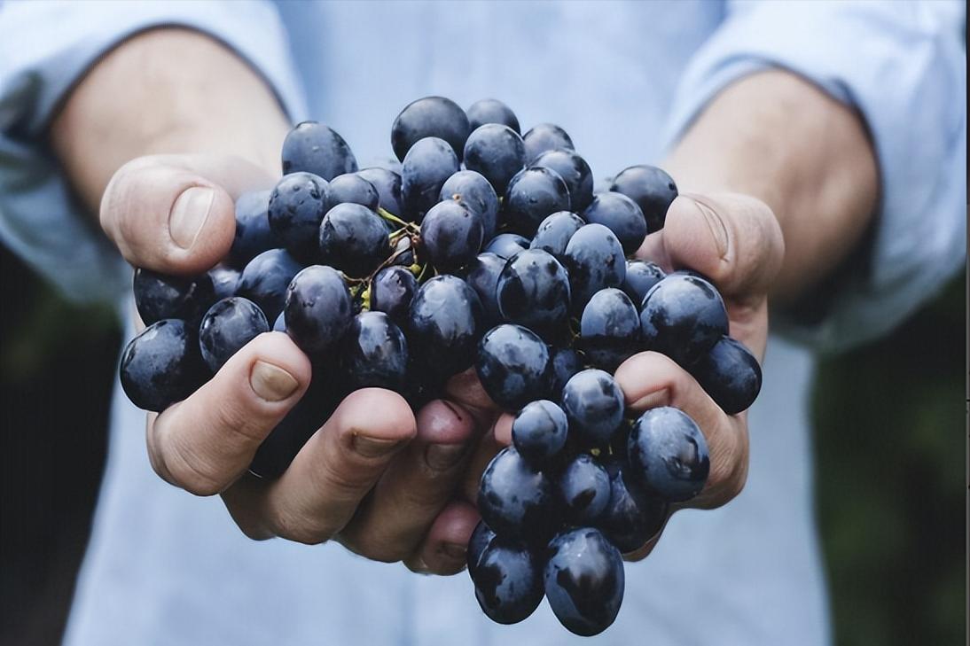 大搜酒,大搜酒公司