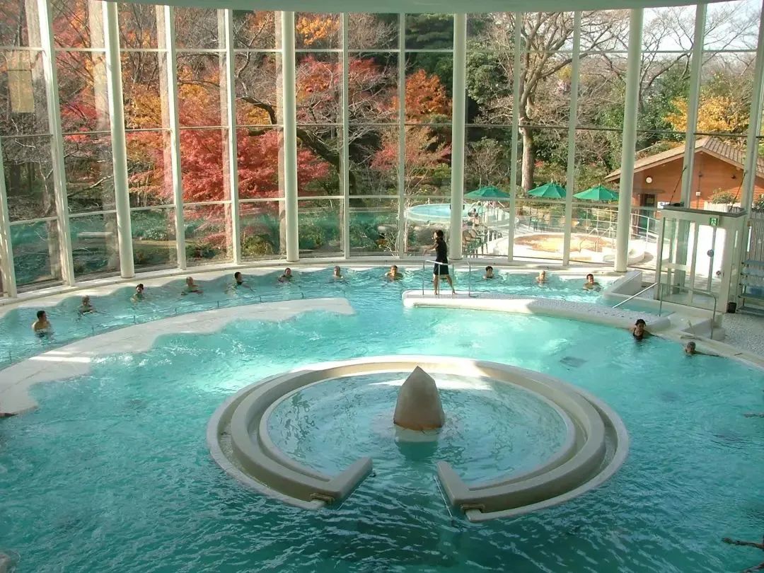 温泉泡池怎么设计,家庭室内温泉泡池尺寸