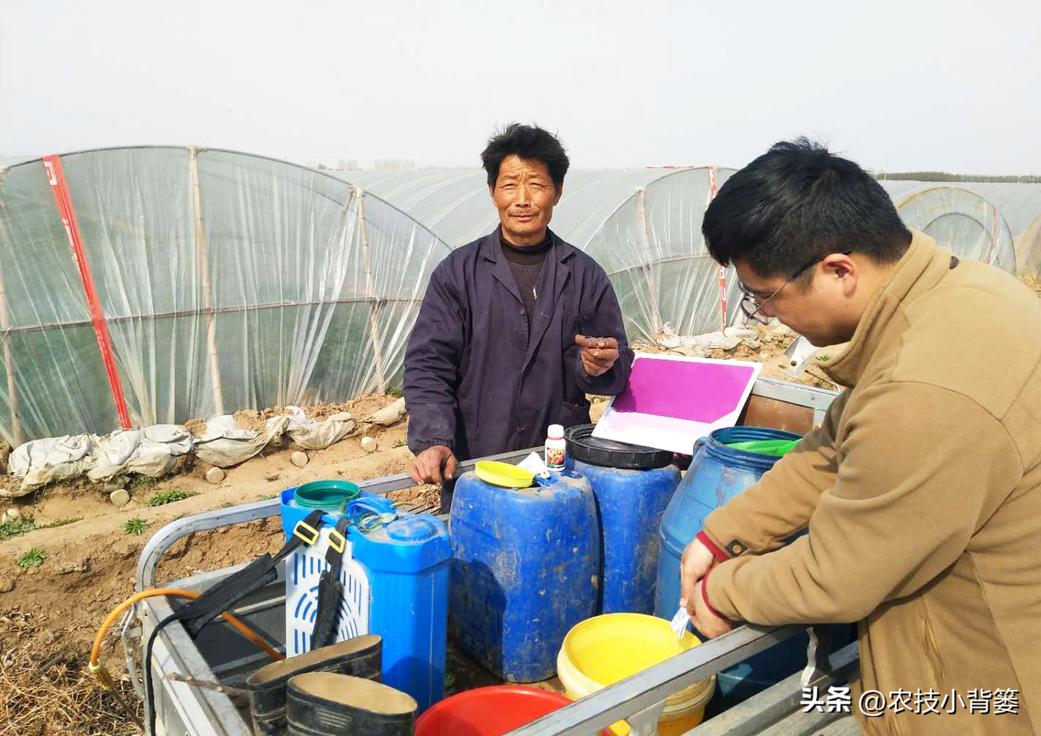 农作物除病害剂,农业害虫防治剂