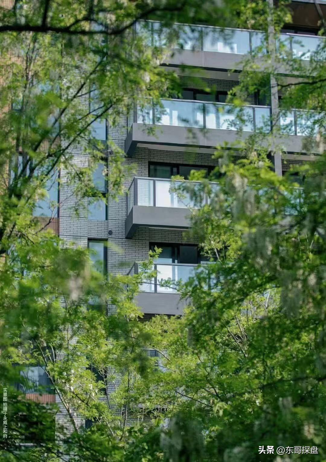 红盖头遮起来,红盖头遮羞