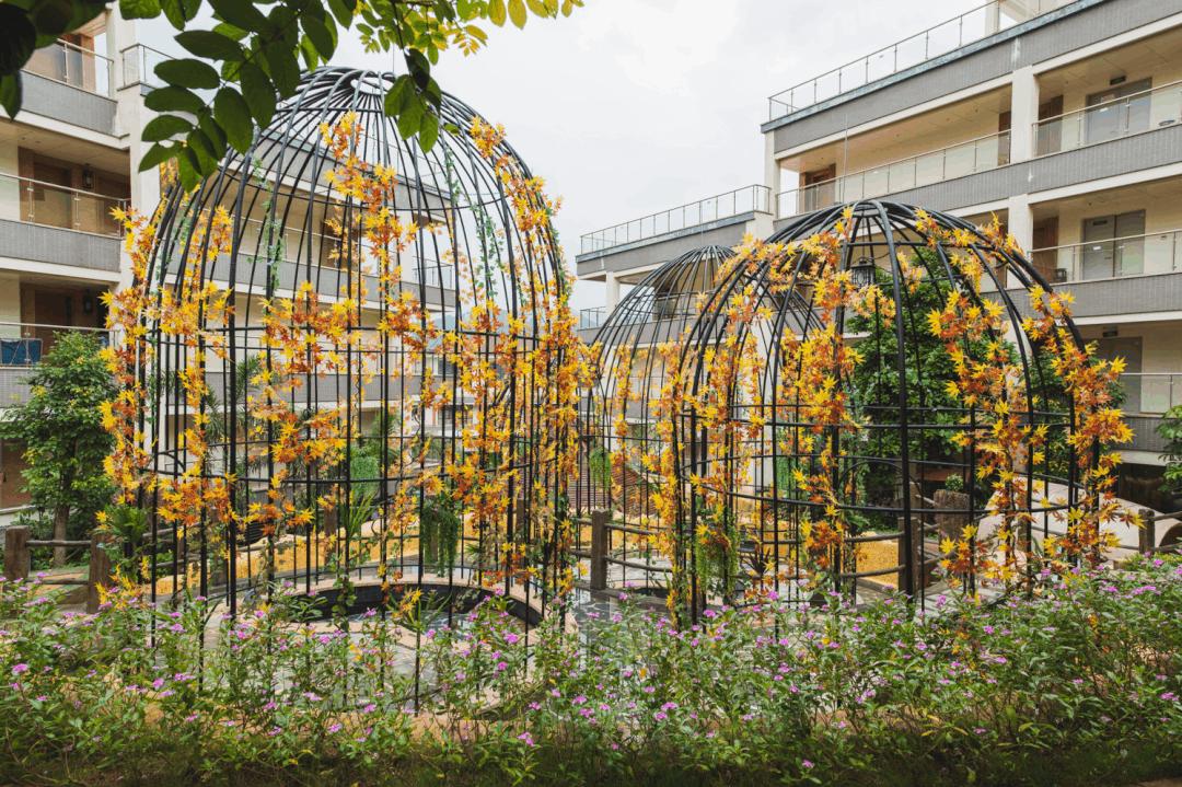 广州天河区暴风雪温泉,广州哪个温泉适合冬季