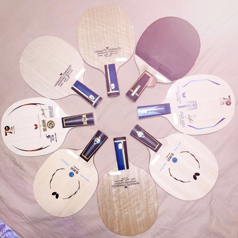 蝴蝶维斯卡利亚对比张本智和,蝴蝶张本智和alc底板试打测评