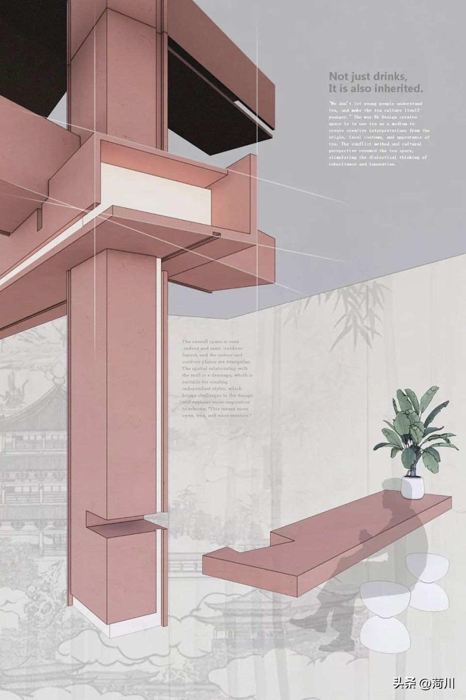 purenftea纯普茶,purenftea深圳