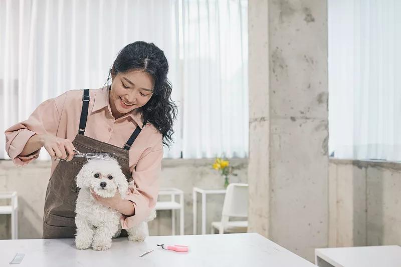 宠物基础服务包括什么服务,宠物服务包括哪些内容呢