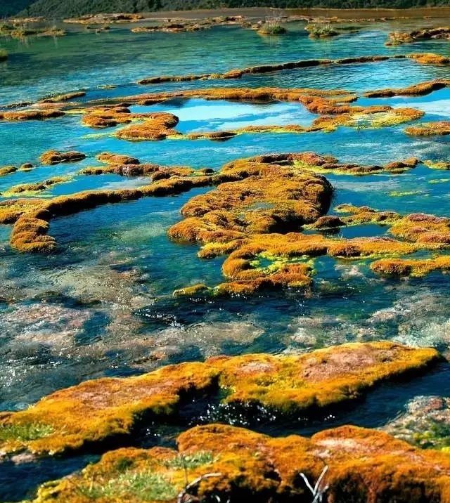 三日游成都周边最详攻略路线,成都去九寨沟攻略最佳路线