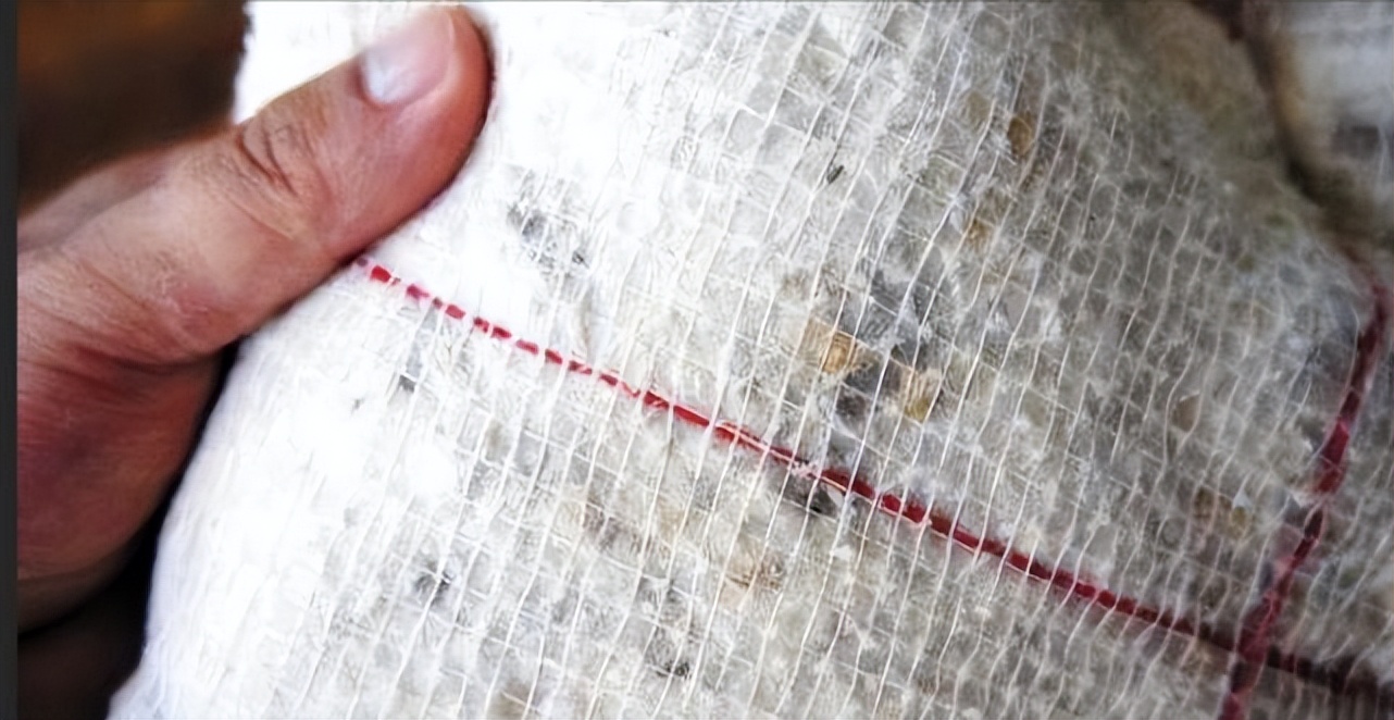 国新智创科技有限公司,黑心棉国产车