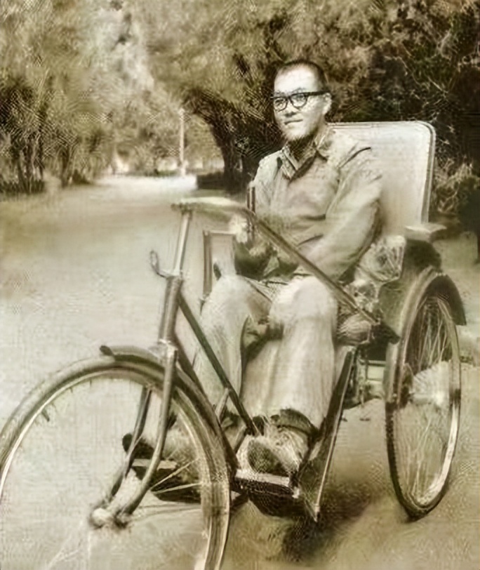 史铁生2011年捐献器官,史铁生尿毒症后写的什么