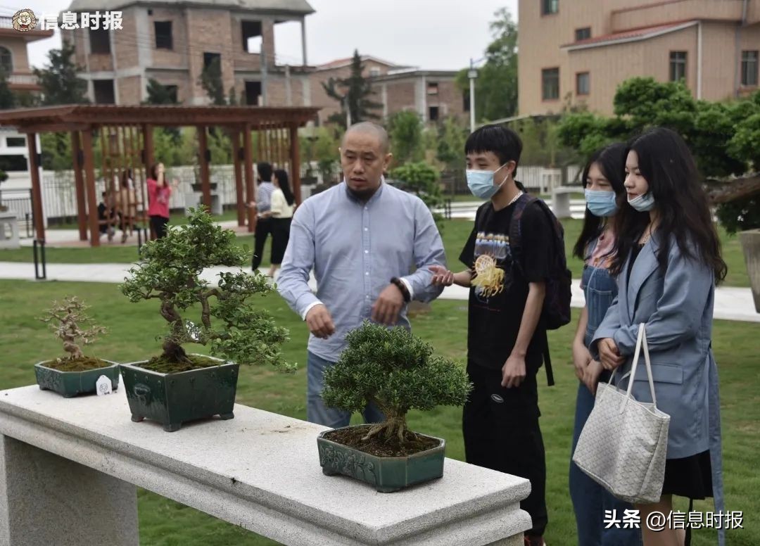 广州11区未来发展规划,广州城市文化出新出彩方案