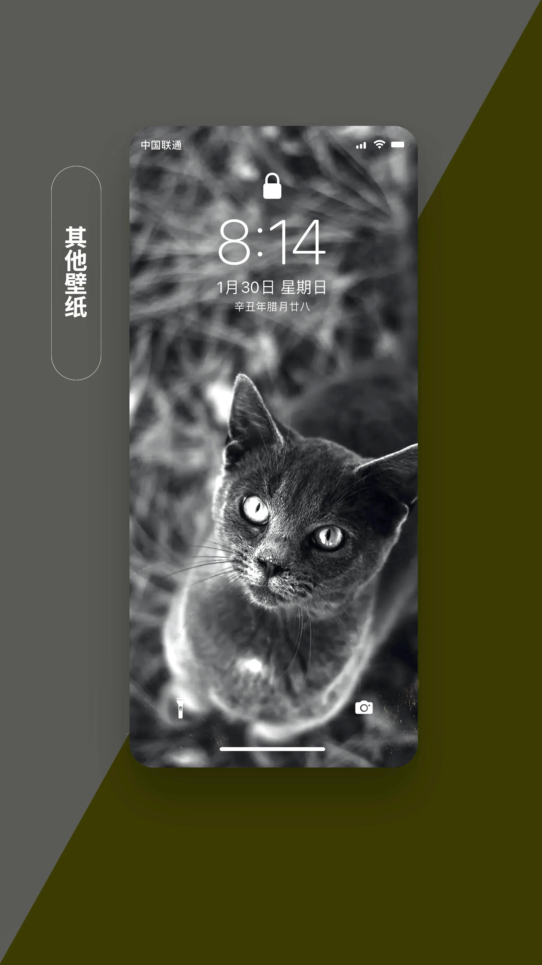 适合做手机app背景的壁纸,和手机软件融为一体的壁纸