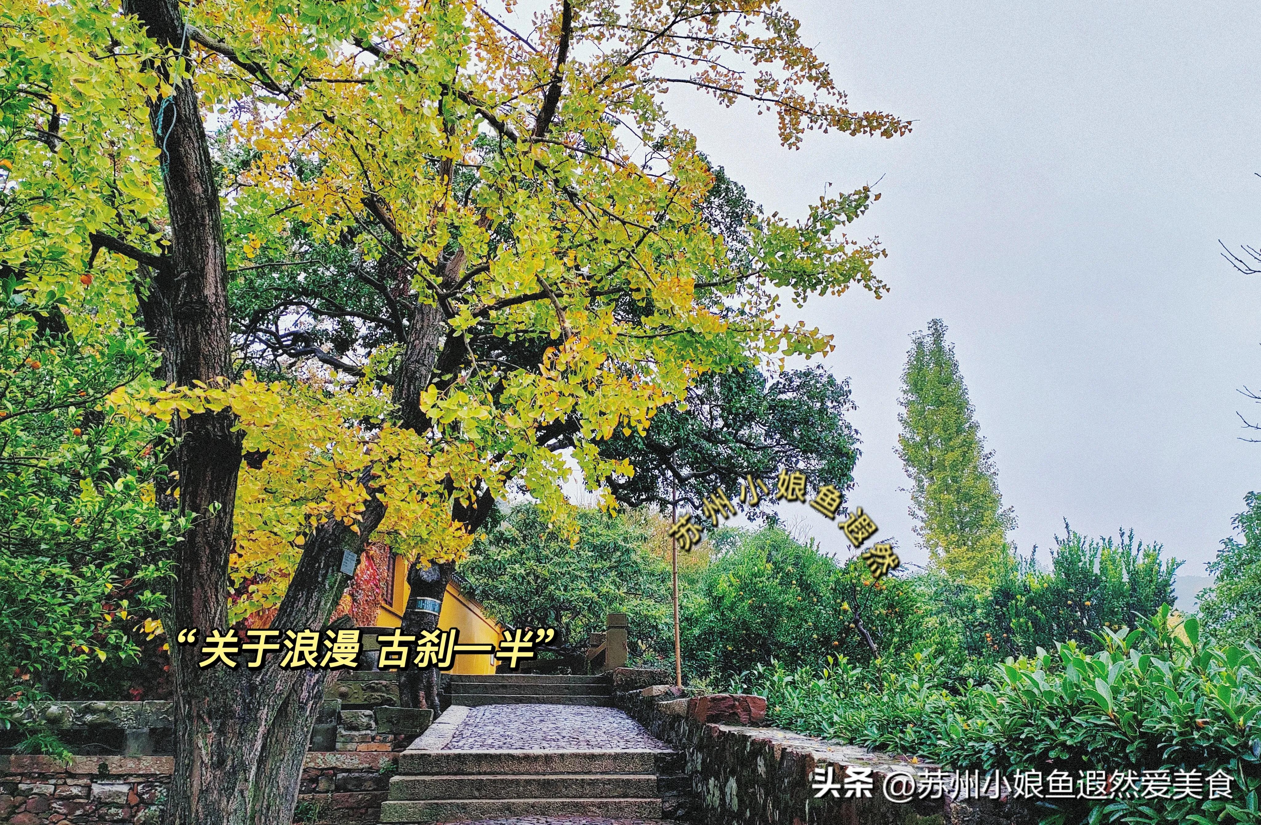苏州一日游攻略探索更好玩的景点,苏州一日游景区推荐