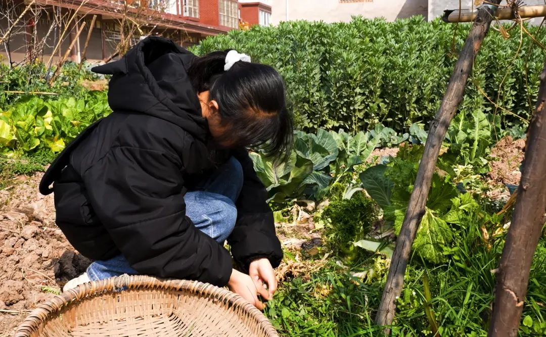 女童照顾卧床老母,三岁女童独自照顾瘫痪妈妈现状