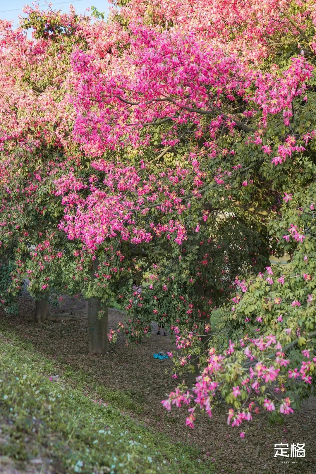 国内好看小众的湖泊,深圳好玩的湖泊有哪些