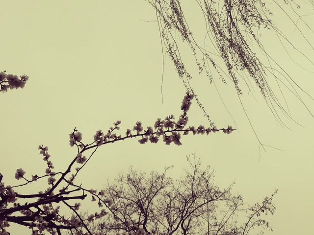 极美的十首春雨诗词夏天,关于雨水节气的诗词和插画