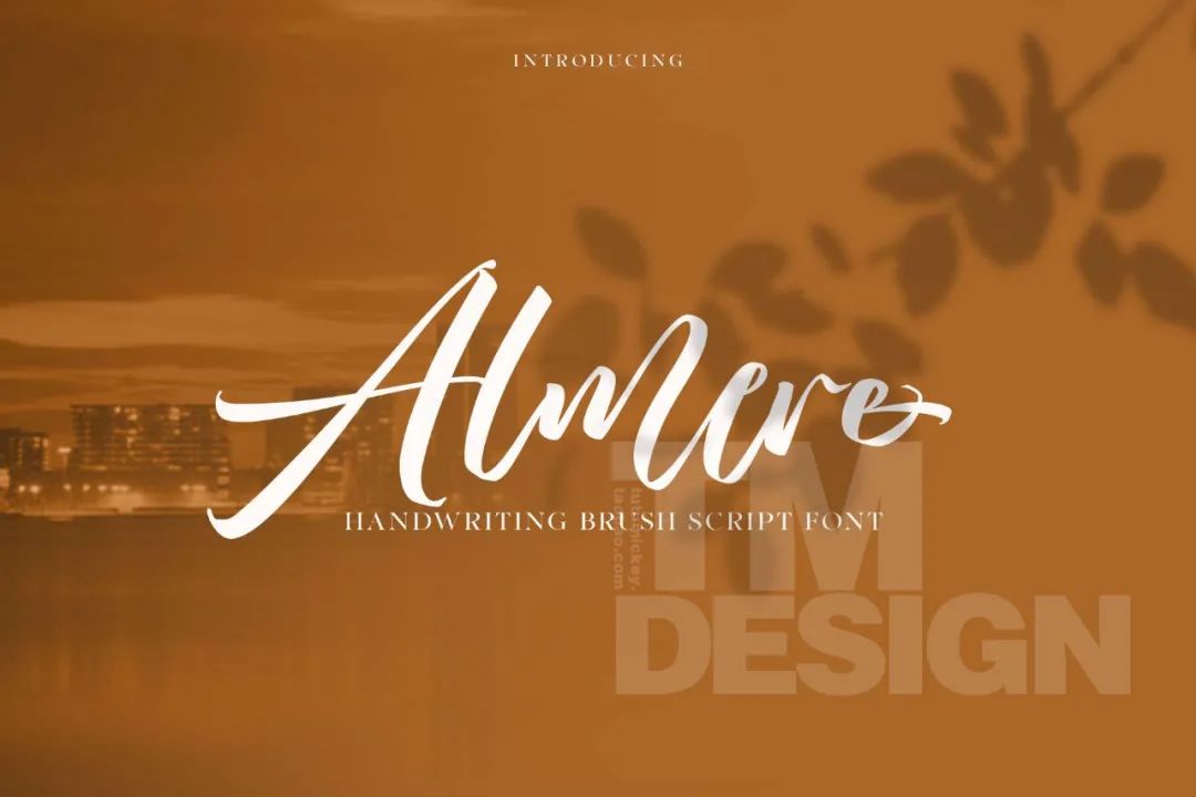 具有艺术感的英文字体推荐,6款极致优雅手写字体