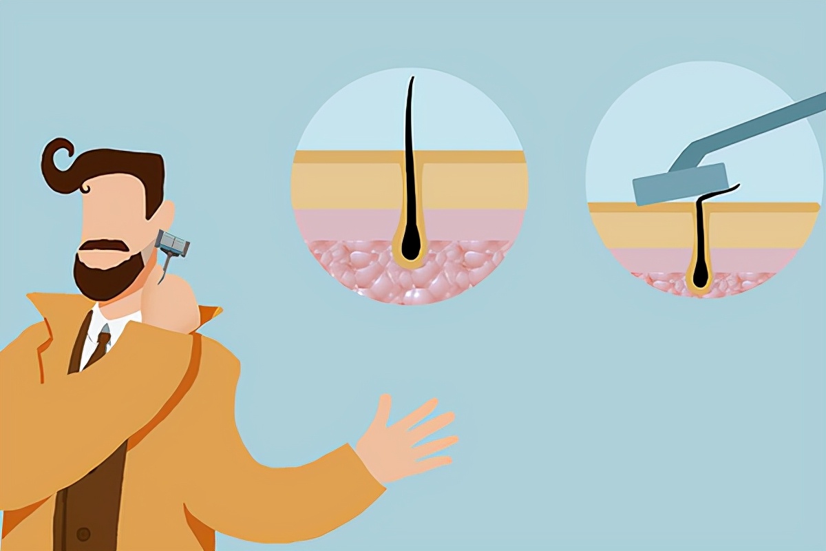 男人刮胡子的频率决定寿命长短,男人胡子长得快寿命短