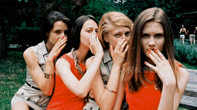 带你看看真实的荷兰,荷兰为什么这么多王国