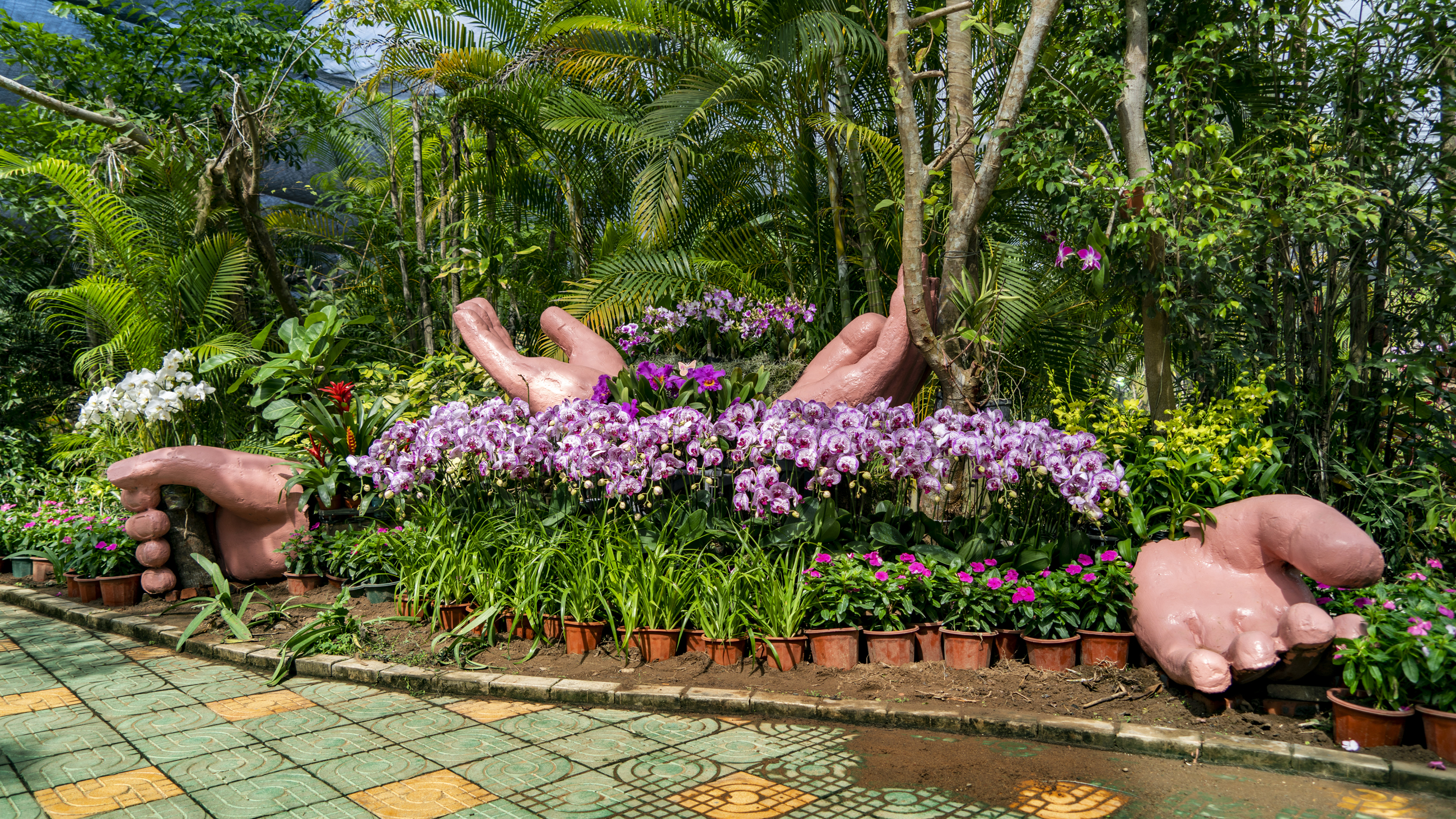 三亚天行森林公园门票,三亚天行森林公园旅游攻略