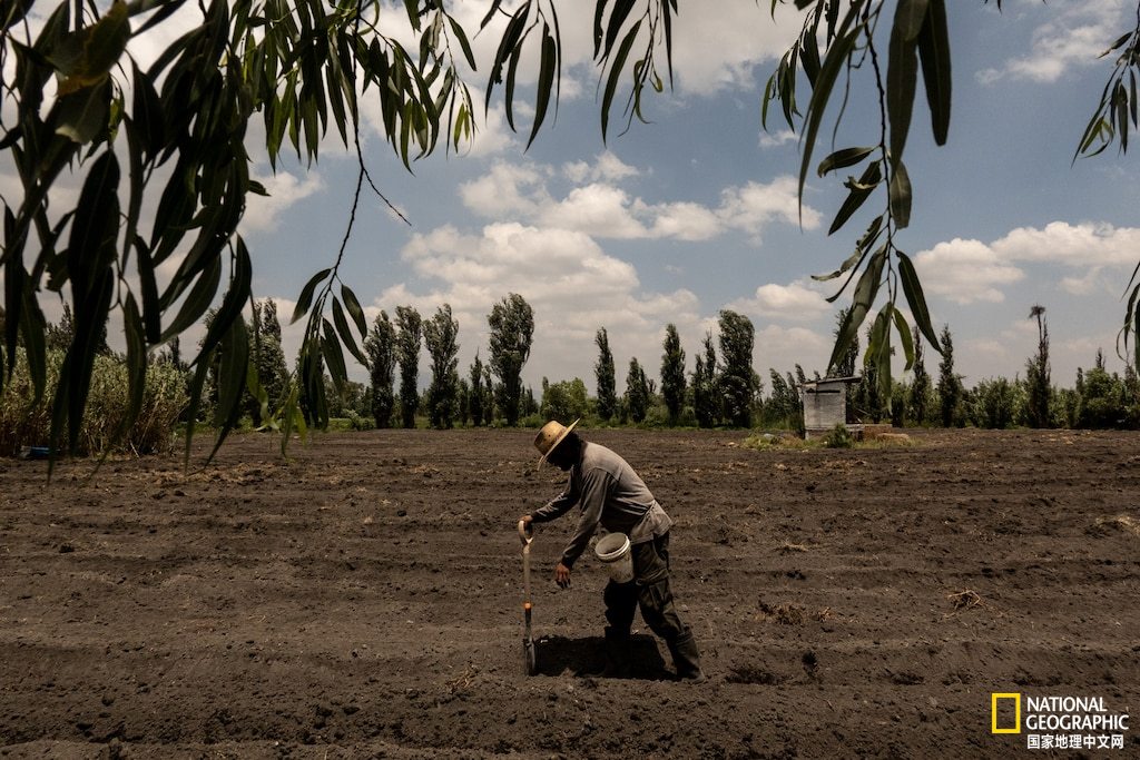 在一个小岛上种地卖菜是什么游戏,在一个岛上种地
