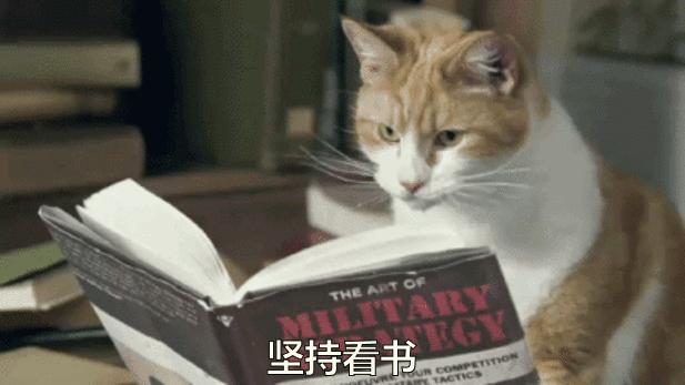 不容错过的玄幻小说,不容错过的一本好书