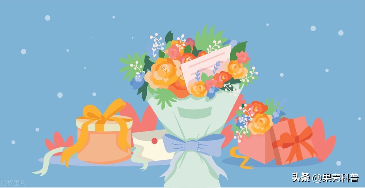 第三篇：花的奥秘|植物探秘：探索奇妙的绿色世界